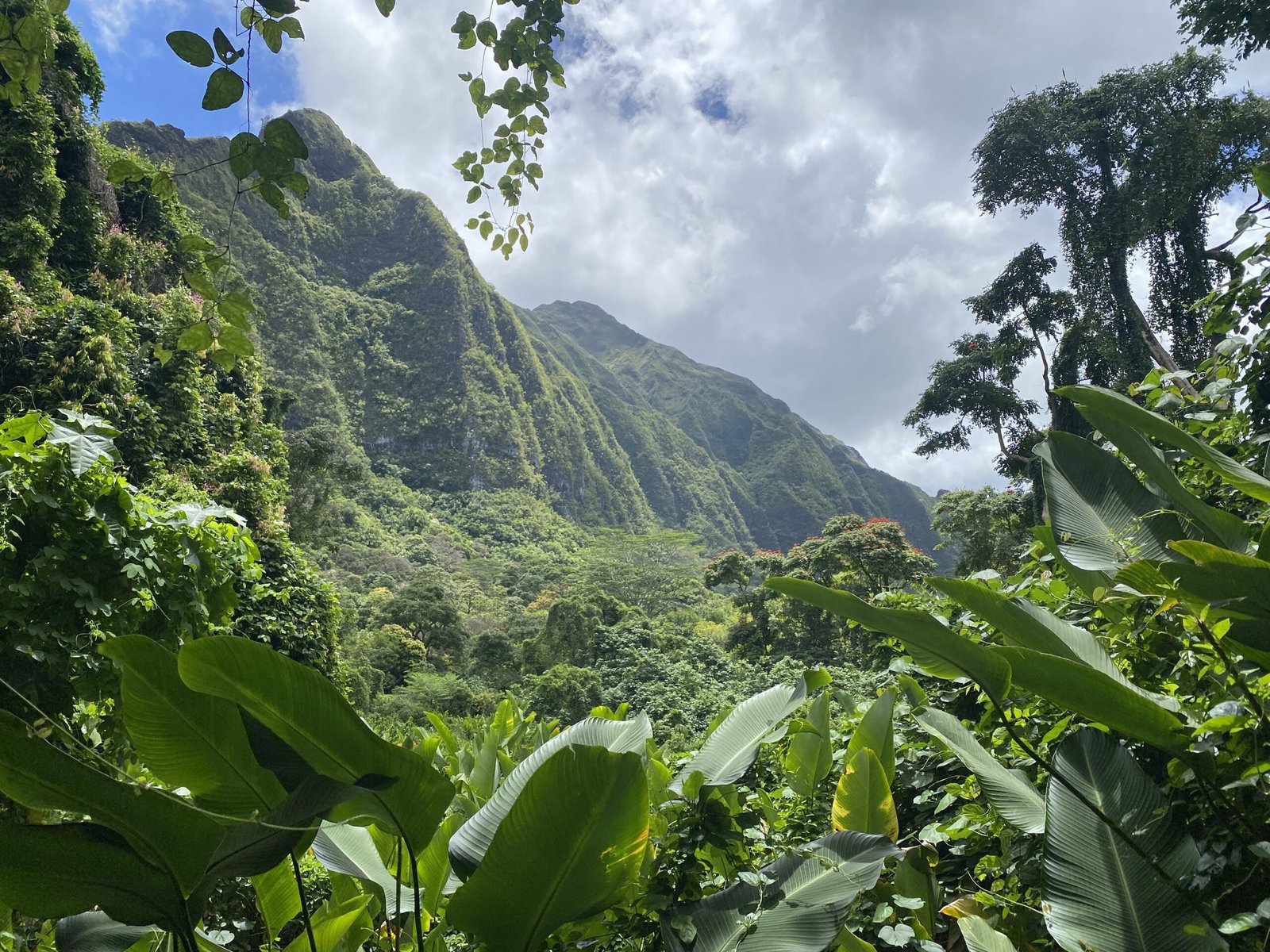 Hawaii Panaromic