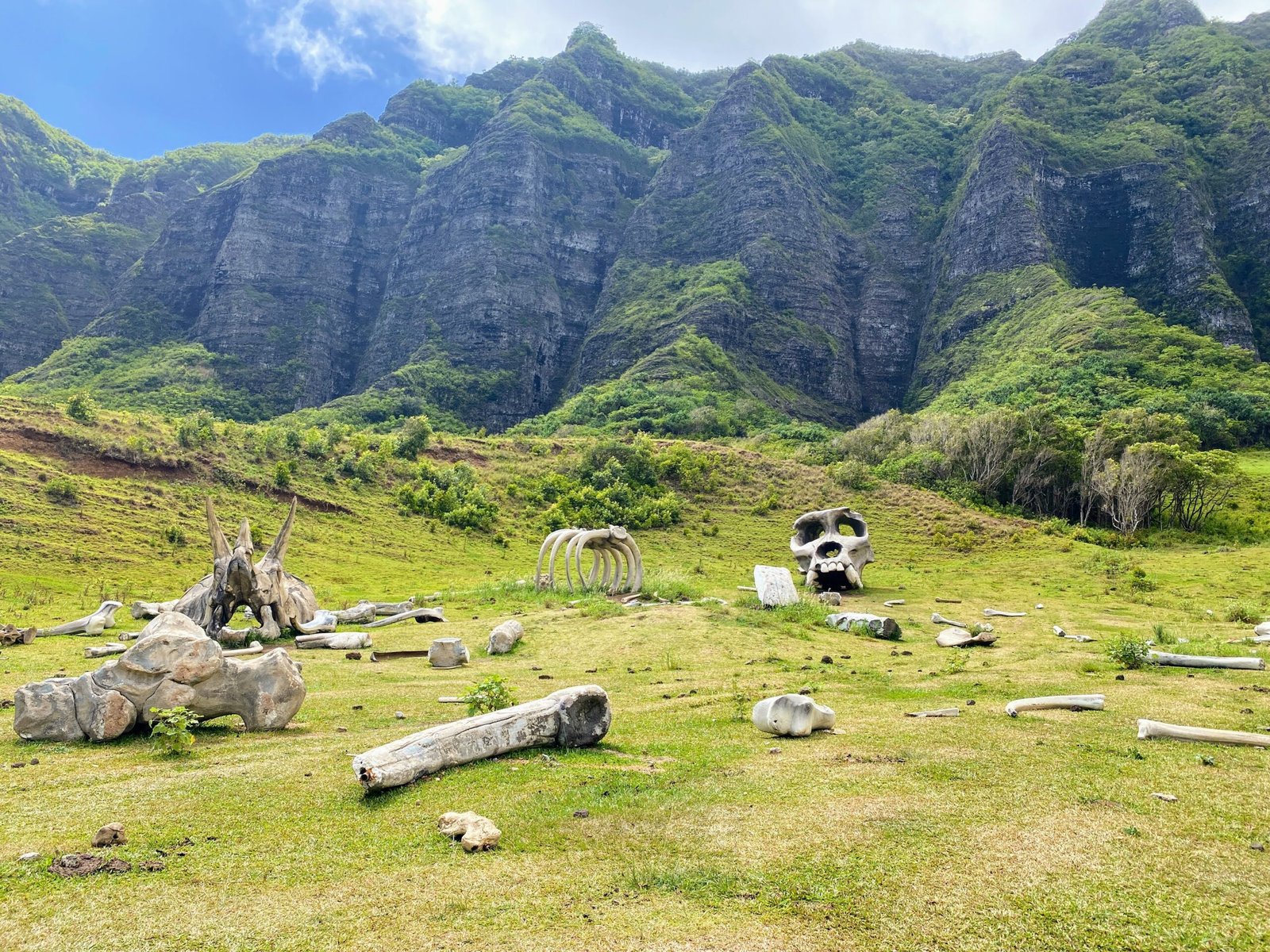 Kualoa Ranch Jurassic Valley