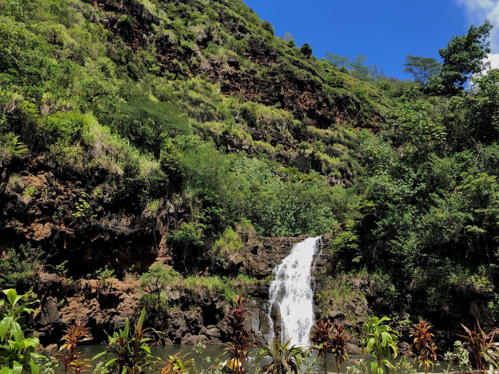 Waimea Valley waterfall Oahu