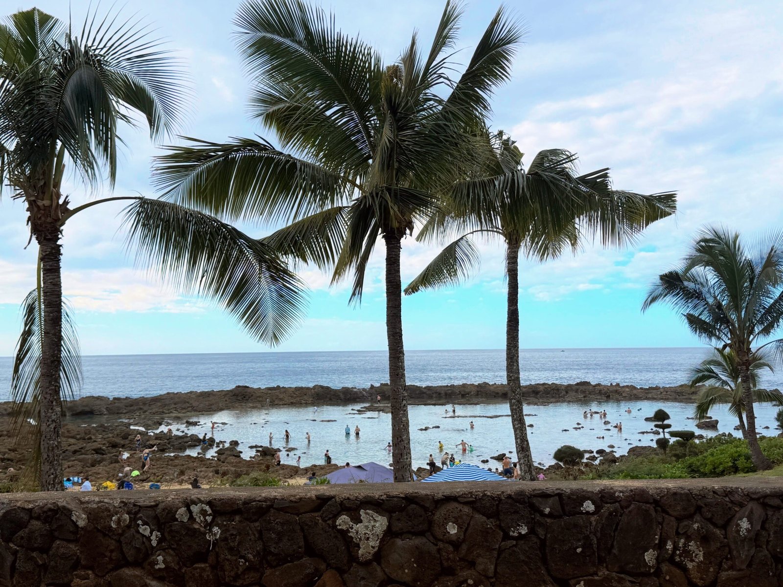 Snorkeling at Sharks Cove Oahu