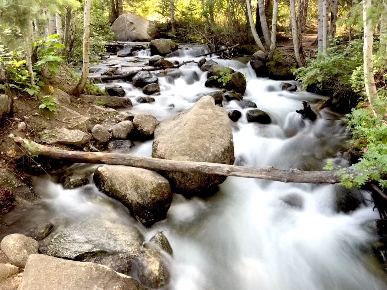 Spring runoff rushing down the stream in Bell Canyon, Utah