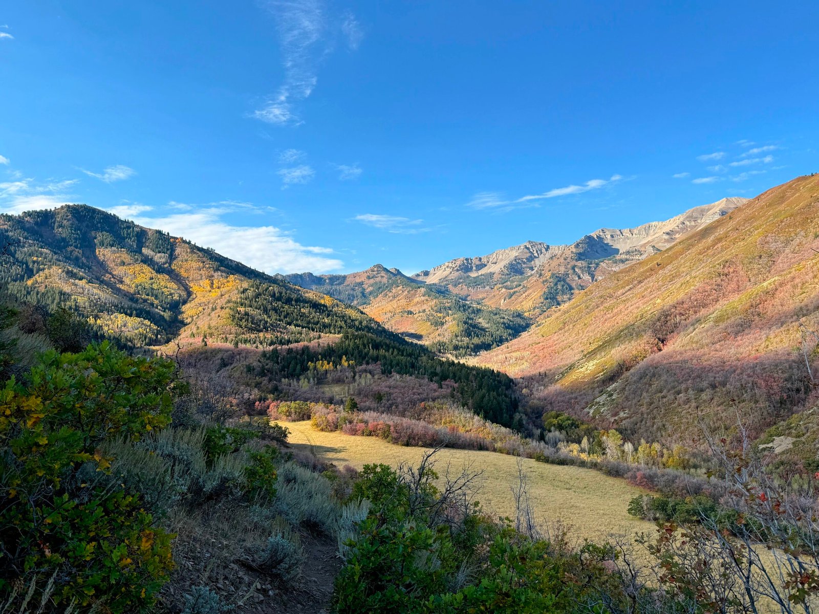 Fall color along the Big Springs Hollow Loop in Provo Canyon