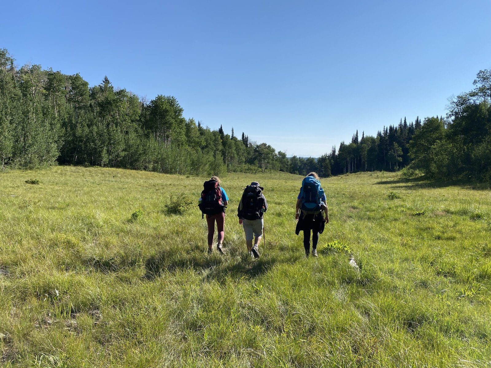 Hiking in the Wasatch Mountains