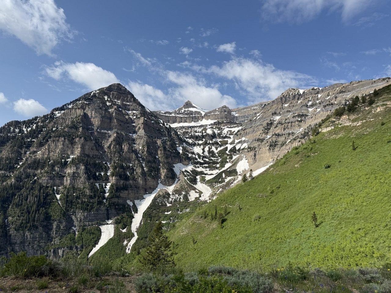 View of Mount Timpanogos from Primrose Point in spring