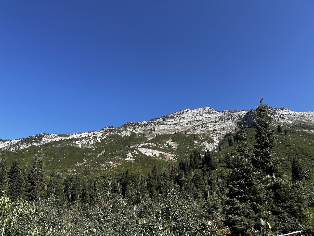 Lone Peak rising above the Second Hamongog meadow